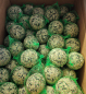 Preview: 100 Stk Meisenknödel klein GRÜN mit Netz Pick Up für Sommer und Winter geeignet sehr gute Qualität frisch Produziert